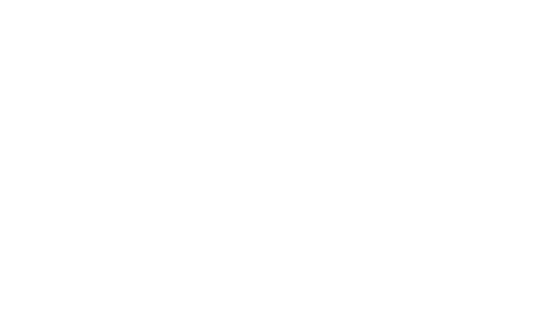 IEEE France Logo
